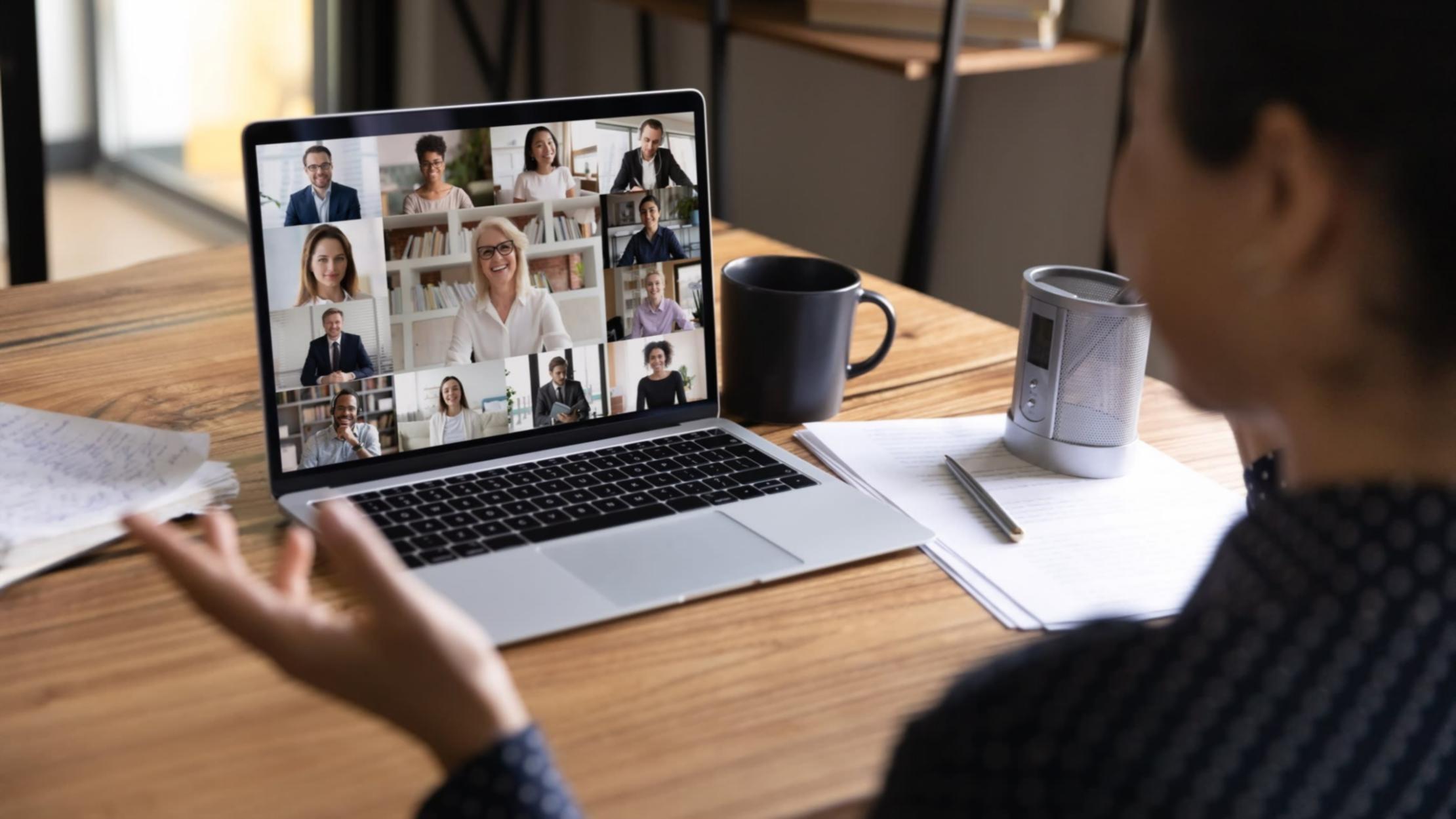 Protection de la faune sauvage — contacter l'équipe Learnliter